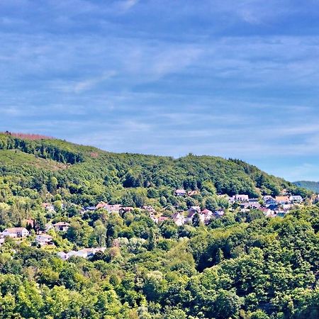 Natur Panorama Suiten Am Rursee Хаймбах Экстерьер фото